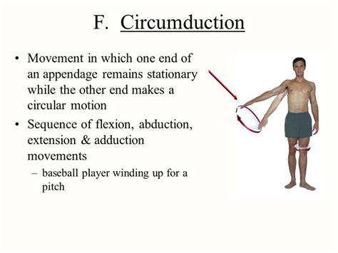 circumduction definition pe|Circumduction .